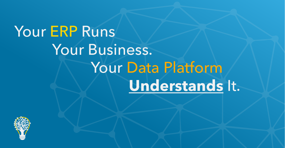 Your ERP Runs Your Business. Your Data Platform Understands It.