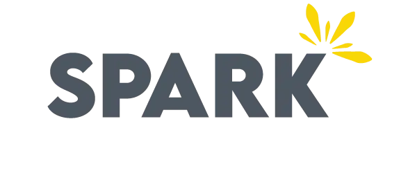 Spark Consulting Services