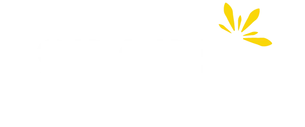 Spark Consulting Services